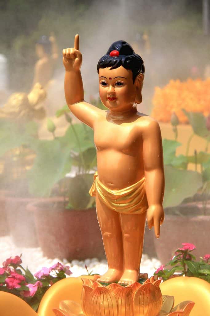baby boeddha