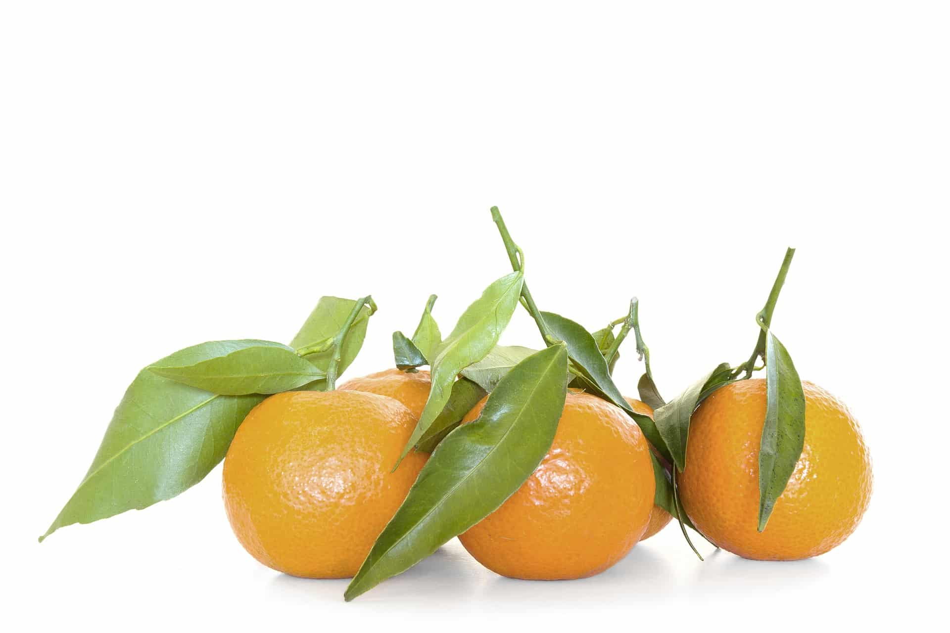 sinaasappels met blad