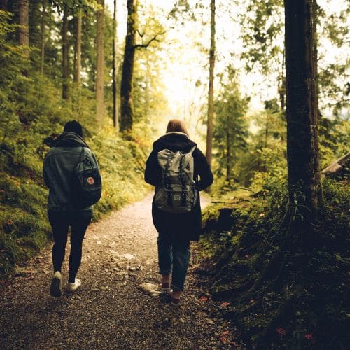 twee mensen lopen in het bos
