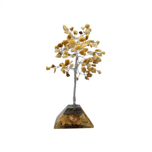 Edelsteenboom Golden Healer (15 cm)