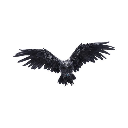 Nemesis Now - Dark Feather Kraai 55cm