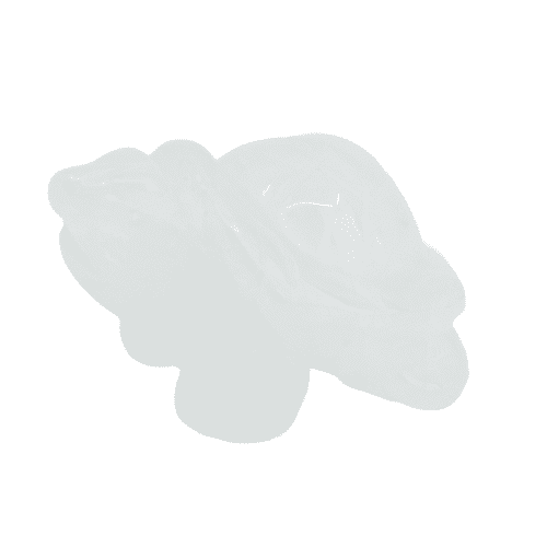 Edelsteen Bergkristal Schildpad (ca. 4 x 3 cm)
