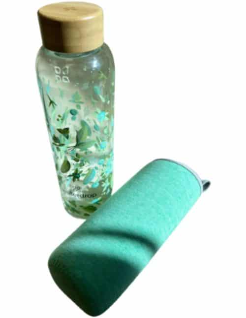 Waterdrop Borosilicaat Glazen Fles 600 ml met Anti-lek Dop